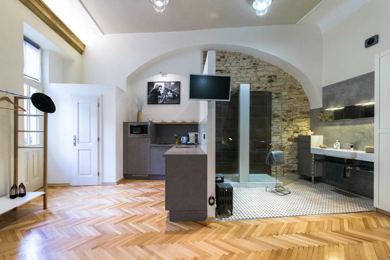 Nebovidy I - Historic Centre - Terrace - Air Conditioning Prag